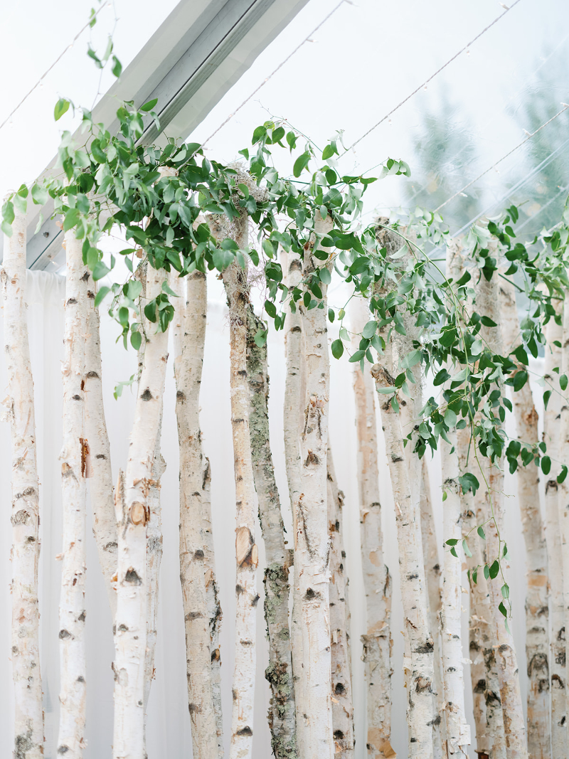 White birch backdrop with greenery adds natural texture and elegance to elevated wedding design ideas.
