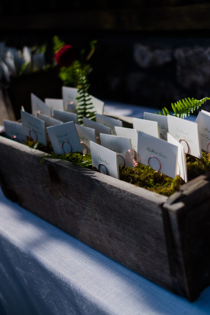 Creative escort card display with moss and ferns.
