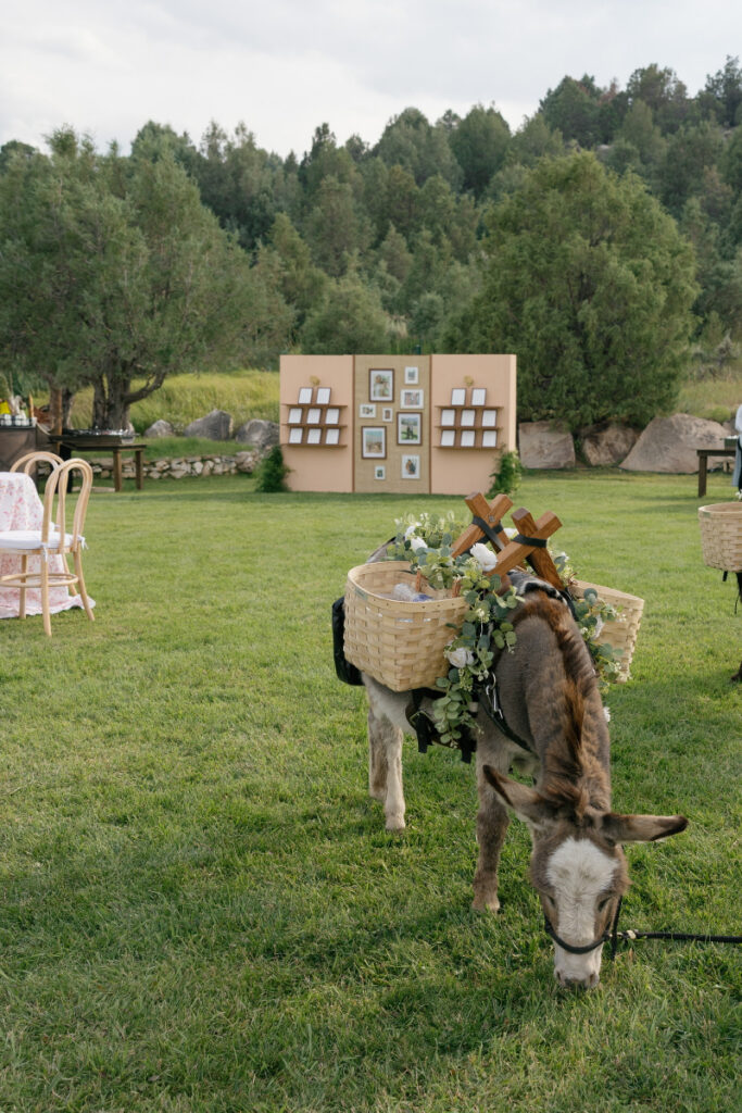 Donkey carrying baskets with flowers during a Colorado ranch wedding at Lazy J Ranch, adding a playful western touch to the outdoor celebration.