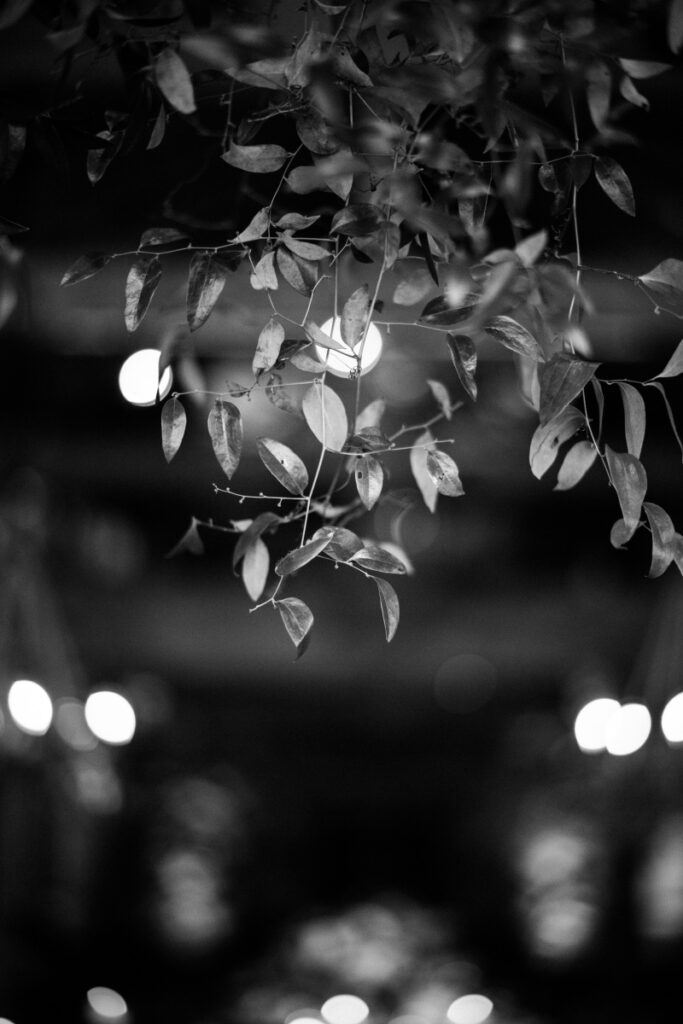 Soft greenery and glowing lights create a romantic ambiance at Boston’s spring wedding venues reception setting